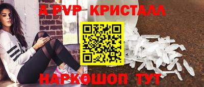 шишки Будённовск