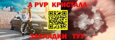 шишки Будённовск