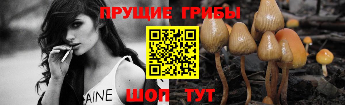 Псилоцибиновые грибы GOLDEN TEACHER Урай